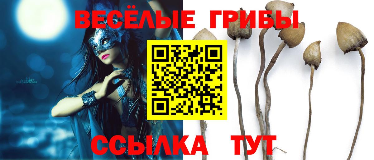 Псилоцибиновые грибы MAGIC MUSHROOMS Ульяновск